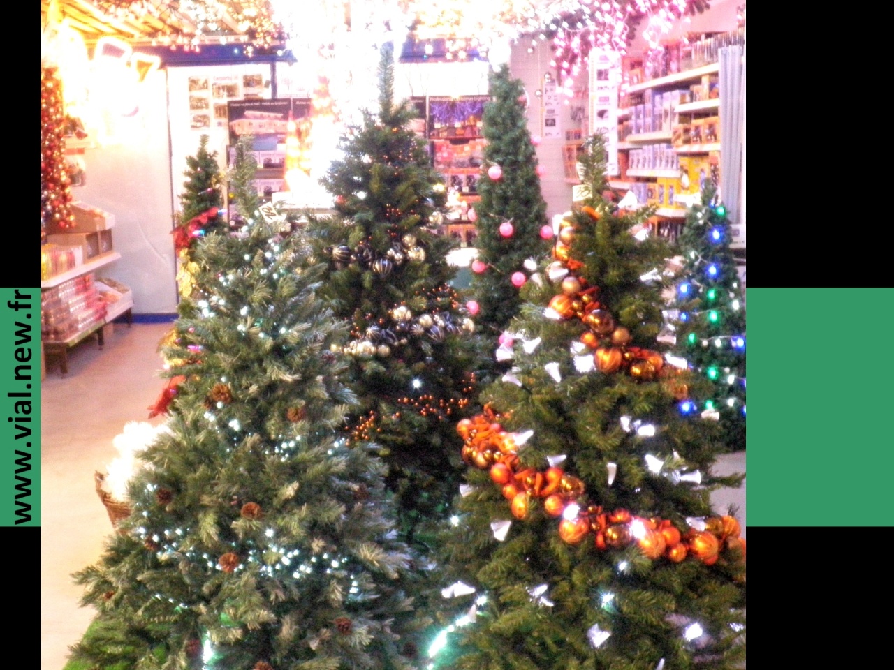 Noel_expo