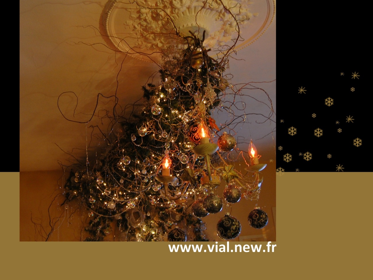 sapin_Noel